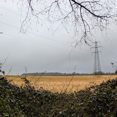 Stride Wide: 19th February '25