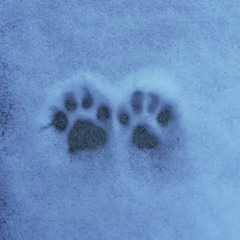 눈사람