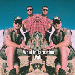 What In Tarnation Vol.1 (ID Showcase)
