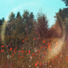 Flowers (Nothing But Hope Remix)