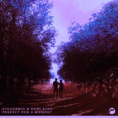 Alan Walker x Nikademis- Alone x Perfect For A Moment (FREE DOWNLOAD)
