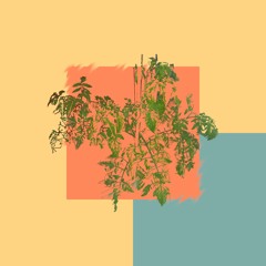 Falloutskyy - Find Peace Within Yourself