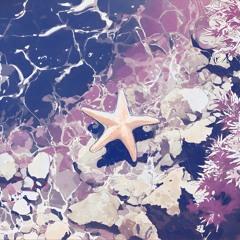 A Starfish's Journey
