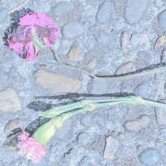 1lb feathers, 1lb lead