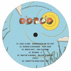 Forgotten Disco Star - Rio (DOBRO 004)