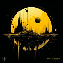 Identical Brothers -Confused Dream (Original Mix) 160Kbps