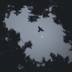 Nevermore