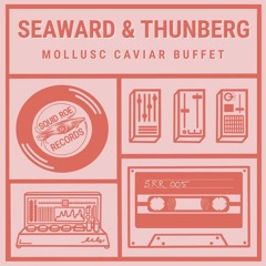 PREMIERE: Seaward & Thunberg - Hung High [Squid Roe Records]