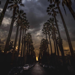 أنصاص مشاوير (في بضع ساعات من يوم ما) // ماجد المهندس