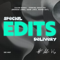Calvin Harris - Thinking About You (Brendan James, Adam Lance, Wakka Edit)