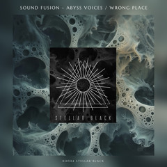 Sound Fusion - Wrong Place [Stellar Black]