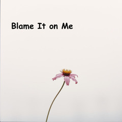 Blame It on Me