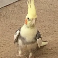 Random ass songs that I love