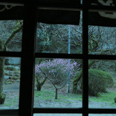 システムキッチンのテーマその1