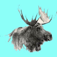 Mountain Of Beauty Demo