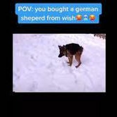 Neddie & Soraoke - Artillery Collab Combat