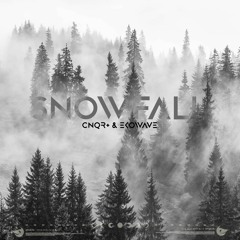 cnqr+ & ekowave - snowfall