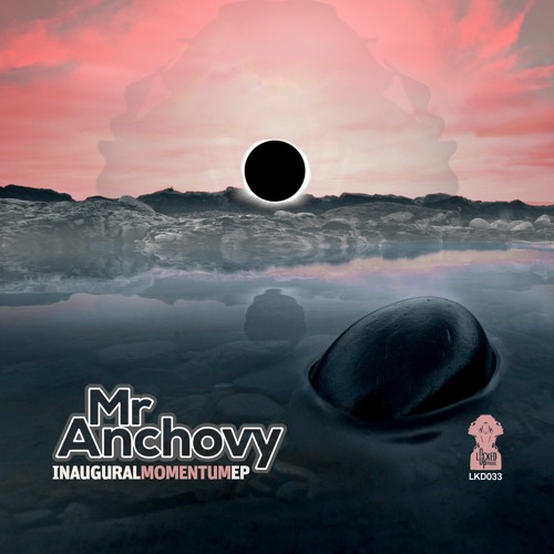 Mr Anchovy 'Real Funk' [Locked Up Music]