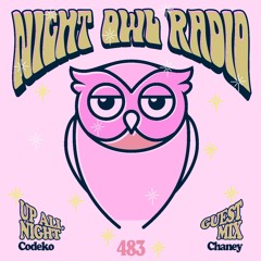 Night Owl Radio 483 ft. Codeko and CHANEY
