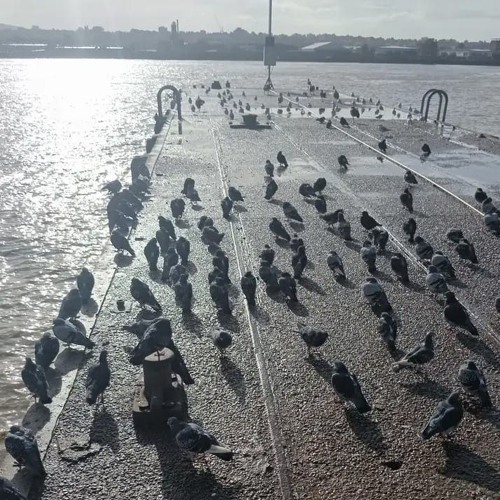 Climate protest poem  soft  Synth version.m4a