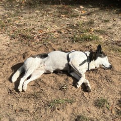 A Month of Sundays w/ Bill Spencer 251025