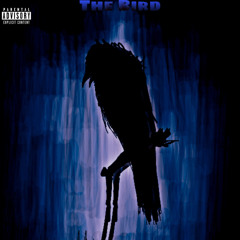 Shadow Crow - The Bird (prod. Roosevelt)