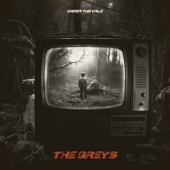 The Greys - Everything's Boring