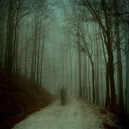 Sorrow  - 21.12.2012 [re: Blut Own]