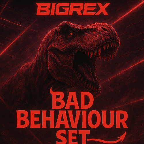 Bad Behaviour Set