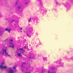 jungle is increasingly deforested