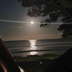 The Bridge Deane Waretini - Ronmak