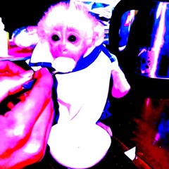 Picco Glicemico Anticlericale.wav