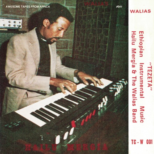 Hailu Mergia & the Walias Band "Nefas New Zemedie"