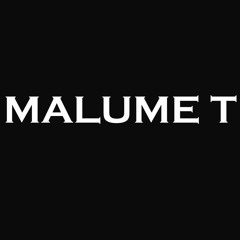 Sunset Sessions EP 4 Melodic Techno Edition With Malume T