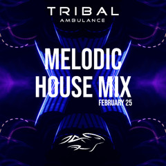 Melodic House Mix [February 2025]