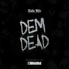 Shatta Wale - Dem Dead