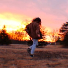 Panarchy Theory - Part Two: Conservation