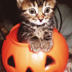 october kisses