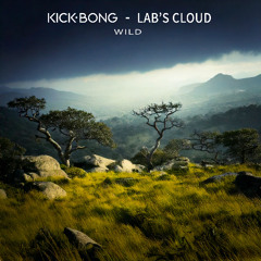 Kick Bong and Lab's cloud - Wild