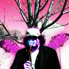 1. Tim Roosevelt - BALANCE