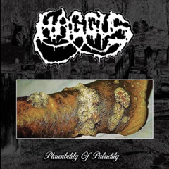 HAGGUS - PLAUSABILITY OF PUTRIDITY [2018] LP