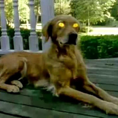 i see what you're doing