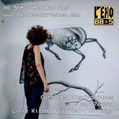 Cultures Electroniques: Lilie Kitsh [03/07/2024]