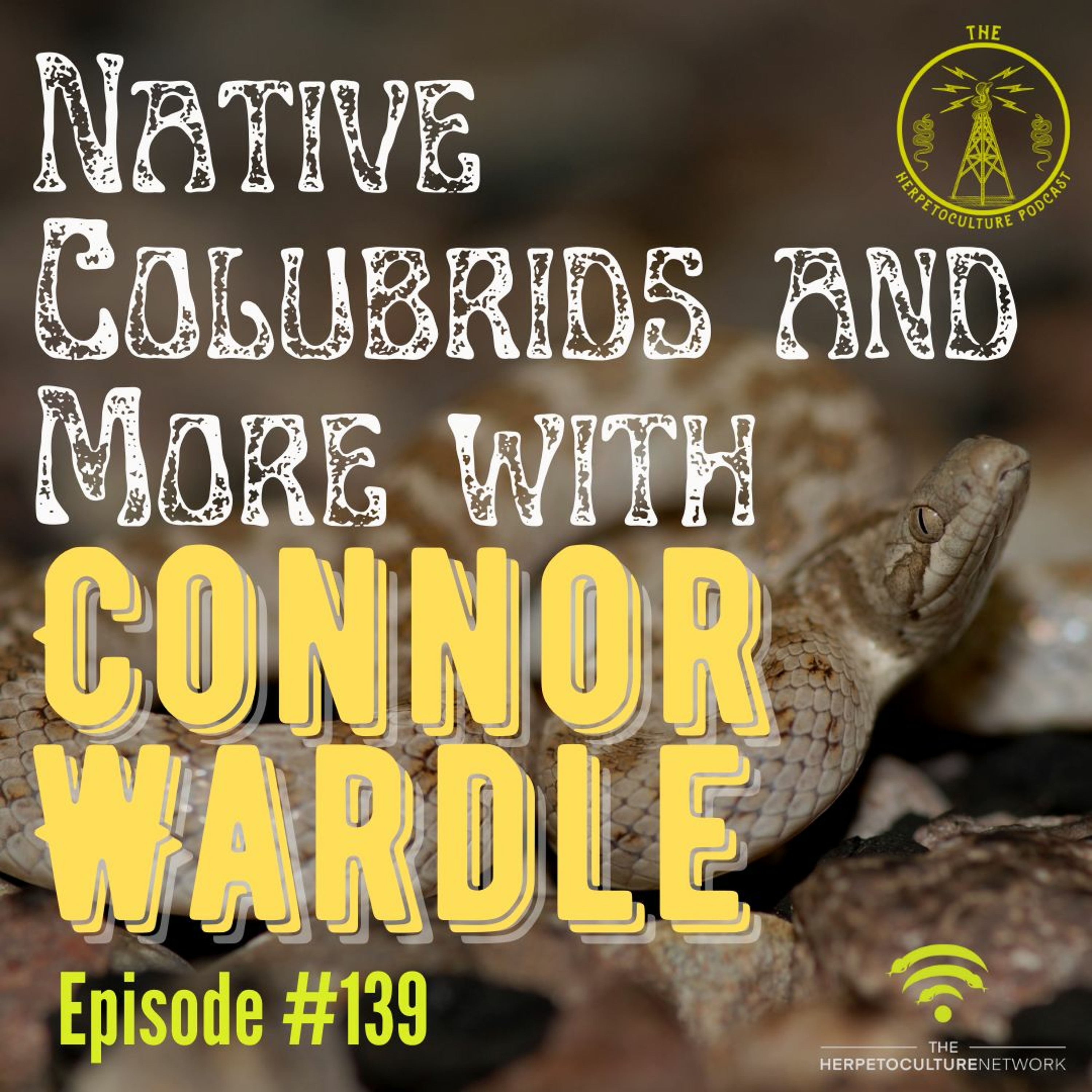 Native Colubrids & More with Connor Wardle