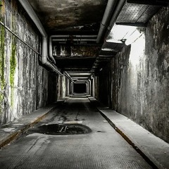 dark journey unimatrix experience