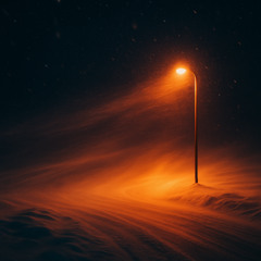 The Cold Wind