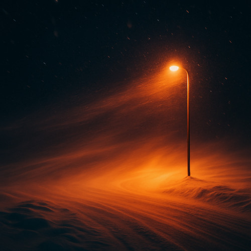 The Cold Wind