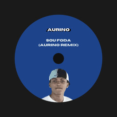 Sou Foda (Aurino Remix)