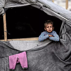 CLIP – ‘Where can we go that’s safe? Nowhere’: UNICEF on Gaza’s children