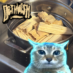 Tamales and the Force Ghost Cat